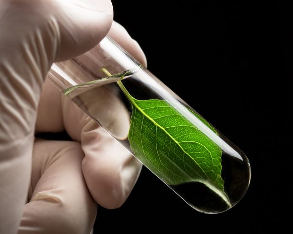 productos sustentables 2